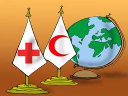 8 de Mayo: Día Internacional de la Cruz Roja | Noticias Salud | Periódico  Digital de la Facultad de Ciencias de la Salud